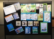 NESA - Fall Training Institute 2013